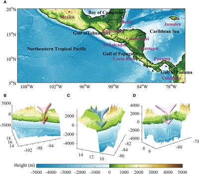 Wind work on oceanic mesoscale eddies in the Northeast Tropical Pacific Ocean